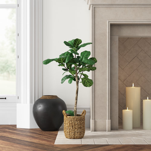 Joss & Main 30'' Faux Fiddle Leaf Fig Tree in Glass Basket & Reviews